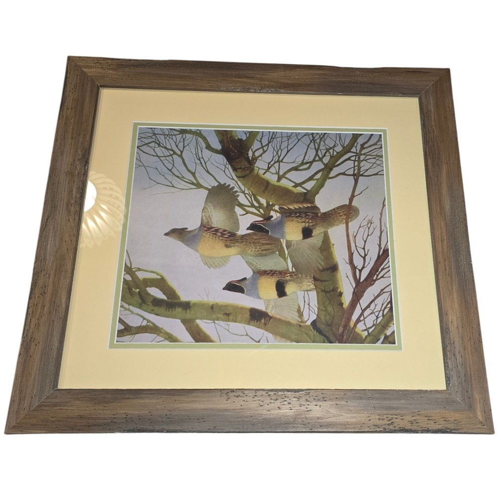 Hobby Lobby Framed Wildlife Bird Art Print‎ Rustic Wood Frame 19x19 Square